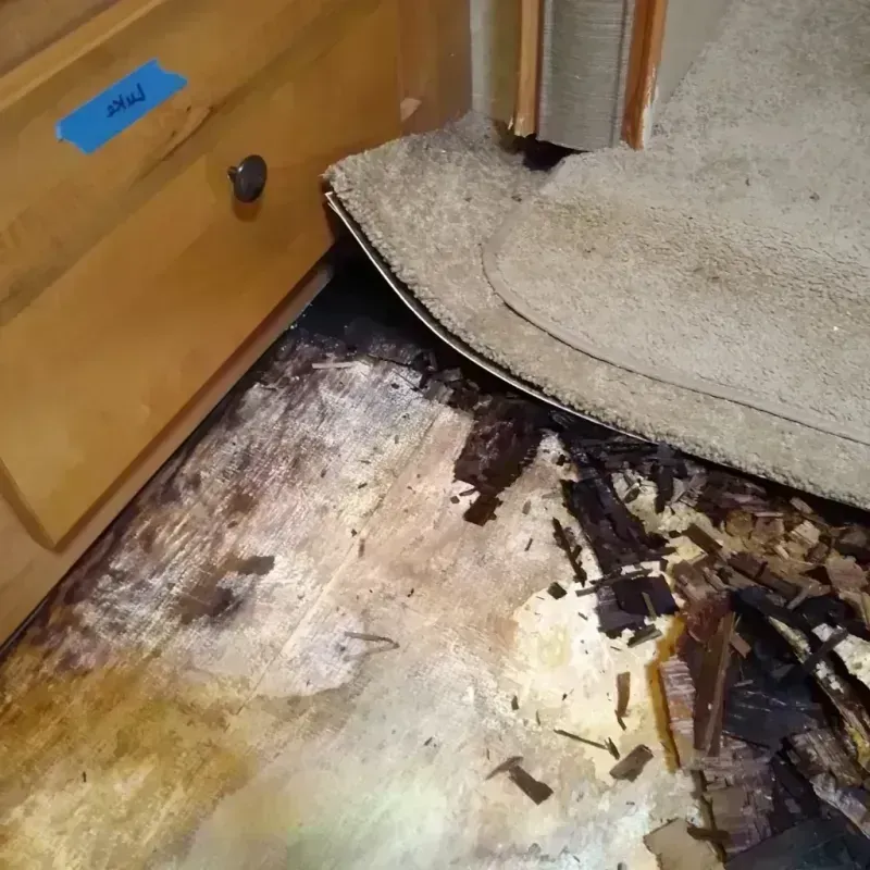 Best Wood Floor Water Damage Service in DeCordova, TX